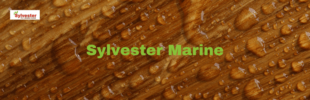 Sylvester Marine