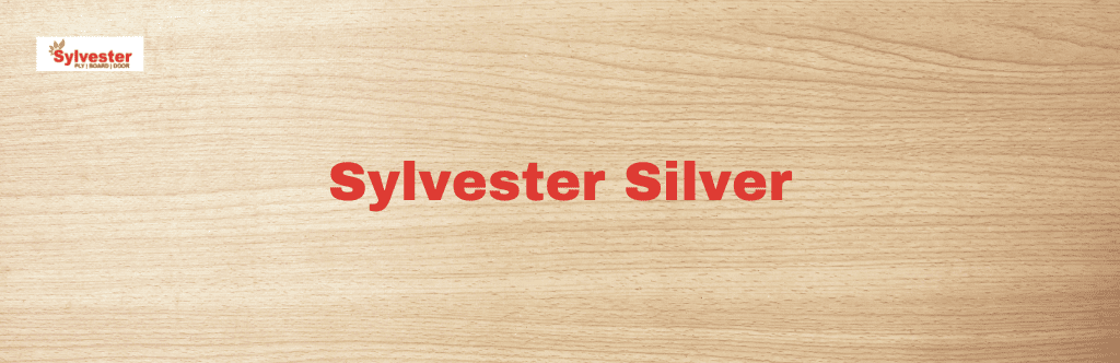 Sylvester Silver